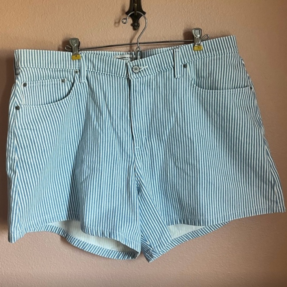 NWOT Blue Striped Women's Shorts